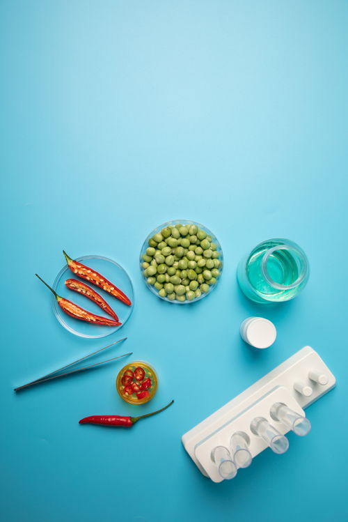辣椒豌豆食品安全農業科技食品培育攝影圖 插畫 下載至來源處